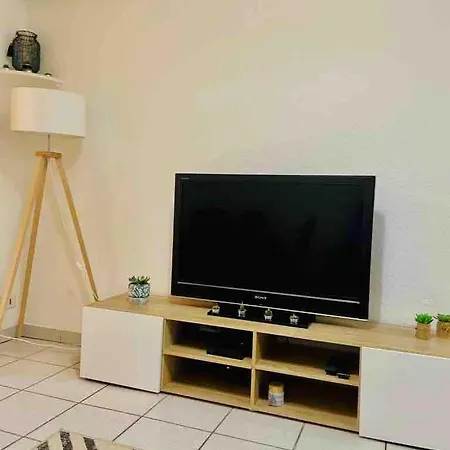 Apartment Charming 100m From The *