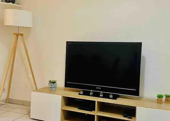 Daire Charming 100m From The *